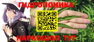 mdma Кингисепп