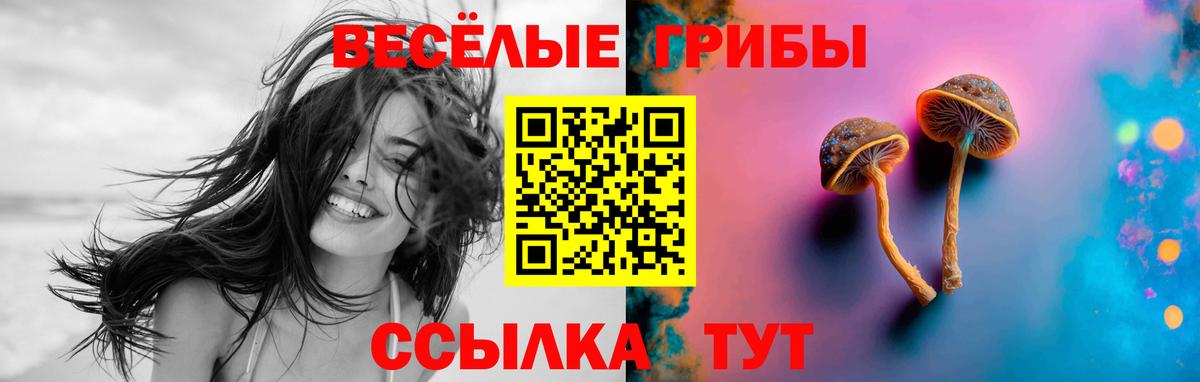 Псилоцибиновые грибы Magic Shrooms  Вход с VPN  Красноярск  Псилоцибиновые грибы прущие грибы 